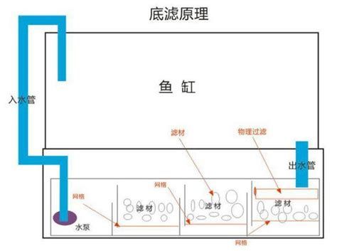 魚缸百科,有聲書:魚缸百科 廣州正大漁場 第2張 魚缸百科,有聲書:魚缸百科 魚缸百科,有聲書:魚缸百科 廣州正大漁場 第2張