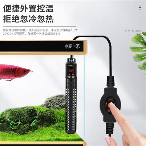 龍魚水溫多久會恢復正常，關于龍魚水溫恢復時間的詳細解析