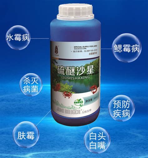 龍魚黑霉病圖片，關于龍魚黑霉病的詳解