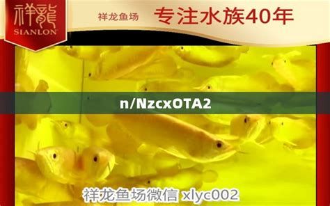 祥龍魚場的小魚苗能買嗎？養大后發色怎么樣？，祥龍魚場的小魚苗值得購買嗎養大后發色怎么樣