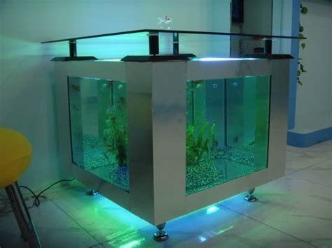 水族百科，《水族百科》家庭水族箱布局圖示，水族箱布局圖示