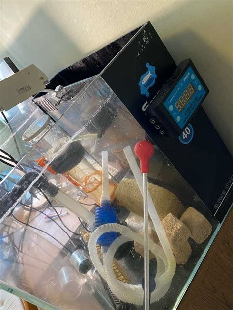 龍魚交叉感染最怕三個東西，龍魚交叉感染的“最怕三件事”