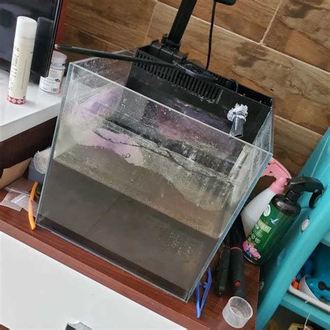 龍魚交叉感染最怕三個東西，龍魚交叉感染的“最怕三件事” 龍魚交叉感染最怕三個東西，龍魚交叉感染的“最怕三件事” 廣州正大漁場 第3張