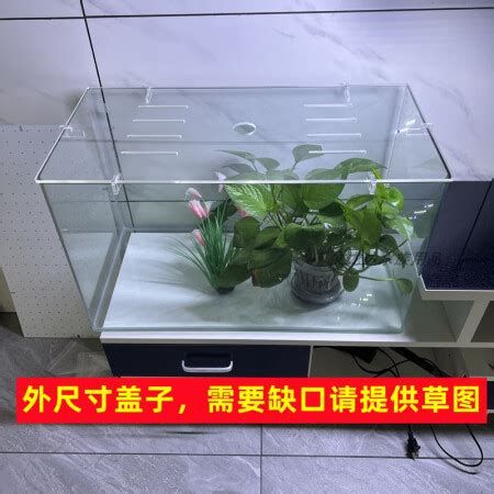 如何預防龍魚夜間跳缸？，龍魚夜間跳缸怎么辦