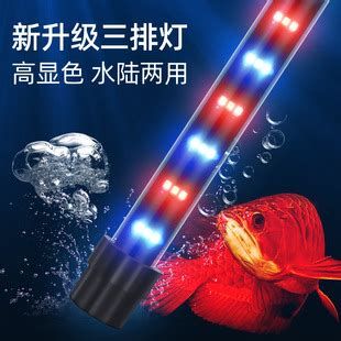 龍魚晚上開燈會有什么影響？，長期晚上開燈對龍魚健康有影響嗎？
