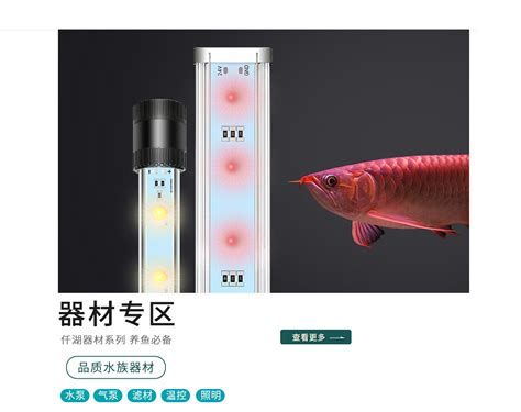 如何正確安裝和使用龍魚專用燈？，龍魚專用燈安裝與使用指南