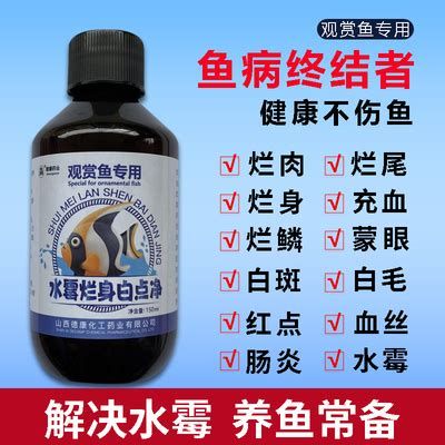 龍魚爛尾是什么原因