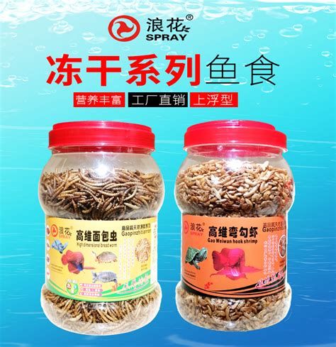 龍魚除了泥鰍，還可以喂哪些食物？，龍魚除了泥鰍外，還可以喂哪些食物？