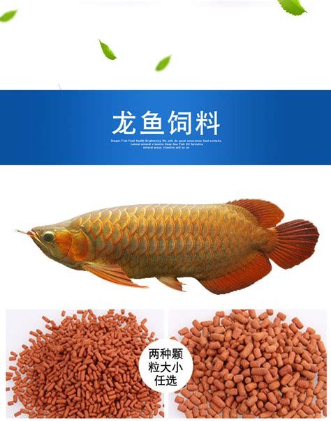 如何科學(xué)搭配龍魚飼料？，《龍魚科學(xué)飼料搭配指南》