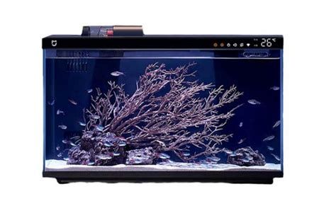 26度水溫對龍魚有哪些具體好處？，26度水溫對龍魚的健康和行為有著至關(guān)重要的影響