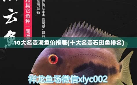 祥龍魚場高端龍魚，“祥龍魚場”高端龍魚養(yǎng)殖專題解讀祥瑞龍魚場
