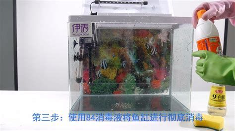 龍魚抗菌液有哪些正確使用方法