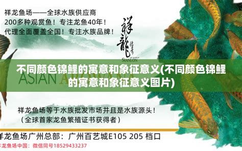 祥龍魚場在哪兒？怎么聯系他們買魚？，廣州百藝城105205檔口祥龍魚場詳解（約1000字） 祥龍魚場在哪兒？怎么聯系他們買魚？，廣州百藝城105205檔口祥龍魚場詳解（約1000字） 斯巴沃紅龍魚 第1張