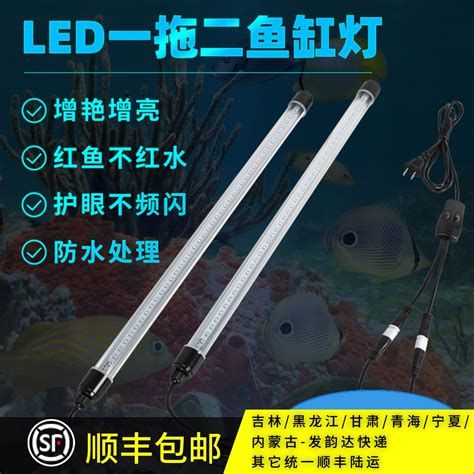 有哪些適合龍魚的小夜燈？，適合龍魚的小夜燈