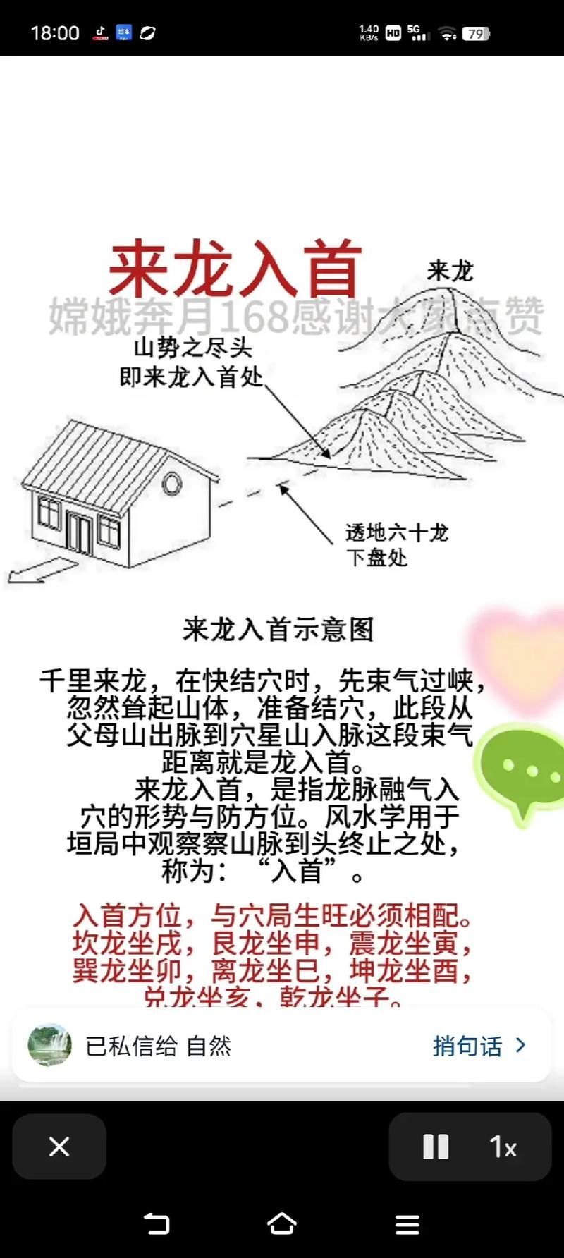 龍頭朝向風水學，龍頭朝向在風水學中的重要性及其其對個人和家庭運勢的影響 龍頭朝向風水學，龍頭朝向在風水學中的重要性及其其對個人和家庭運勢的影響 龍魚百科 第12張