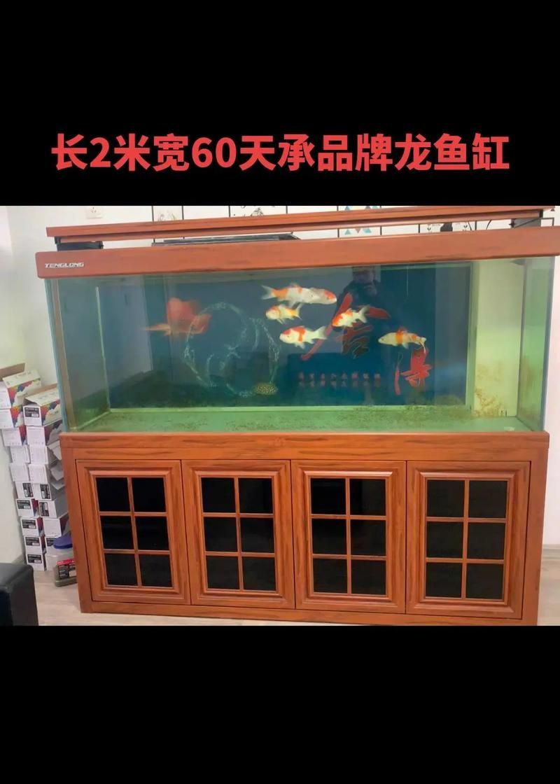 龍魚缸的長度建議是多少，龍魚缸的長度建議是多少, 龍魚缸的長度建議是多少，龍魚缸的長度建議是多少, 龍魚百科 第6張