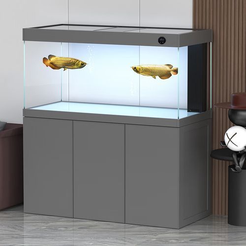 有哪些品牌推薦的標準龍魚缸？，主流品牌標準龍魚缸推薦清單