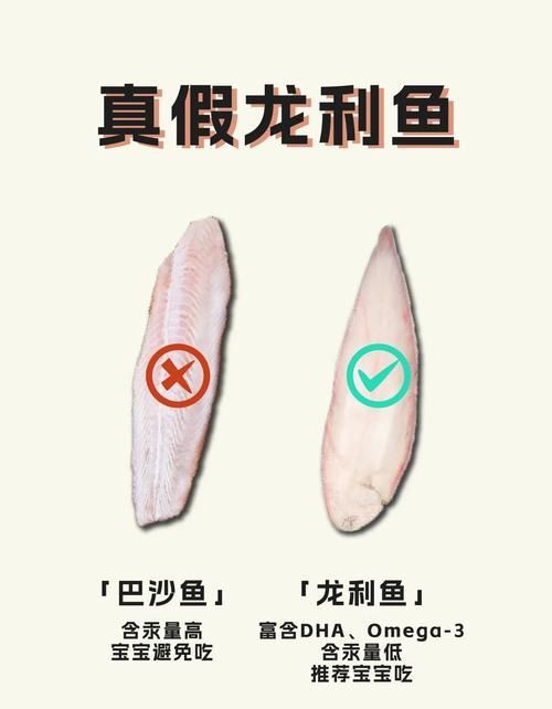 如何區分真假龍利魚 龍魚百科 第7張 如何區分真假龍利魚 如何區分真假龍利魚 龍魚百科 第7張