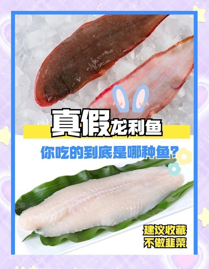 如何區分真假龍利魚 如何區分真假龍利魚 龍魚百科 第9張