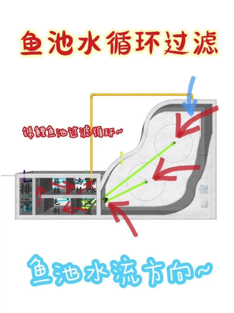 錦鯉寄生蟲感染如何預(yù)防，錦鯉寄生蟲感染如何預(yù)防用戶要求詳解1000字和配圖 錦鯉寄生蟲感染如何預(yù)防，錦鯉寄生蟲感染如何預(yù)防用戶要求詳解1000字和配圖 龍魚百科 第9張