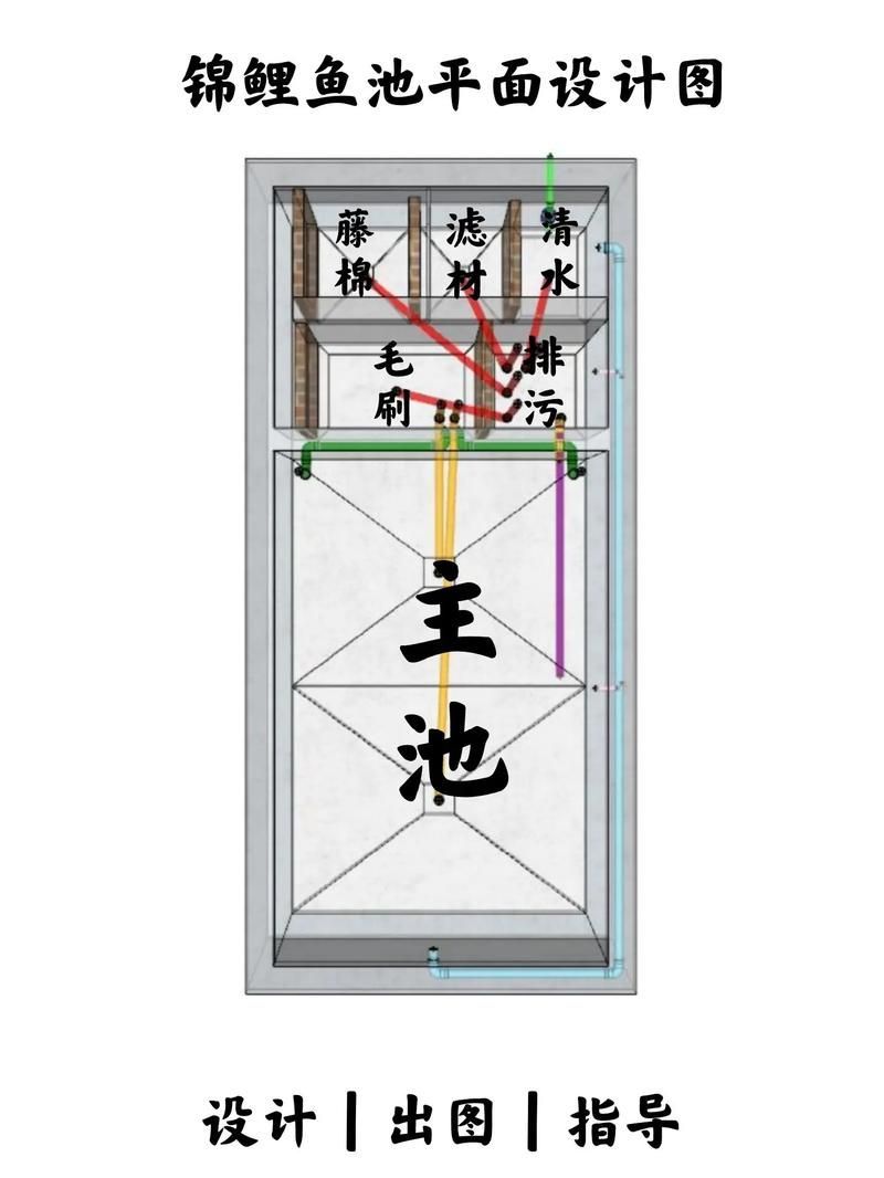 錦鯉寄生蟲感染如何預(yù)防，錦鯉寄生蟲感染如何預(yù)防用戶要求詳解1000字和配圖 錦鯉寄生蟲感染如何預(yù)防，錦鯉寄生蟲感染如何預(yù)防用戶要求詳解1000字和配圖 龍魚百科 第6張