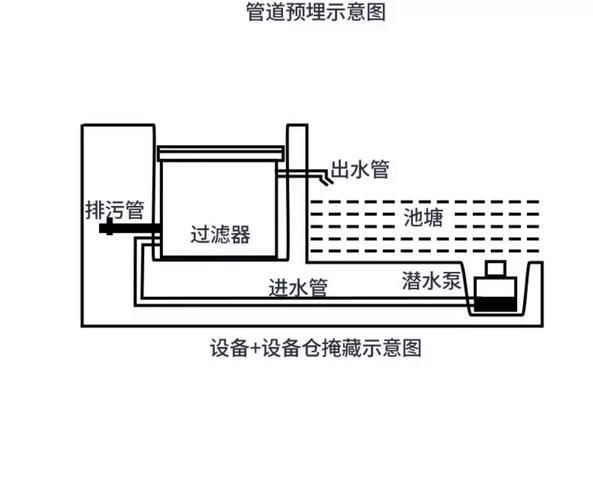 錦鯉寄生蟲感染如何預(yù)防，錦鯉寄生蟲感染如何預(yù)防用戶要求詳解1000字和配圖 錦鯉寄生蟲感染如何預(yù)防，錦鯉寄生蟲感染如何預(yù)防用戶要求詳解1000字和配圖 龍魚百科 第14張