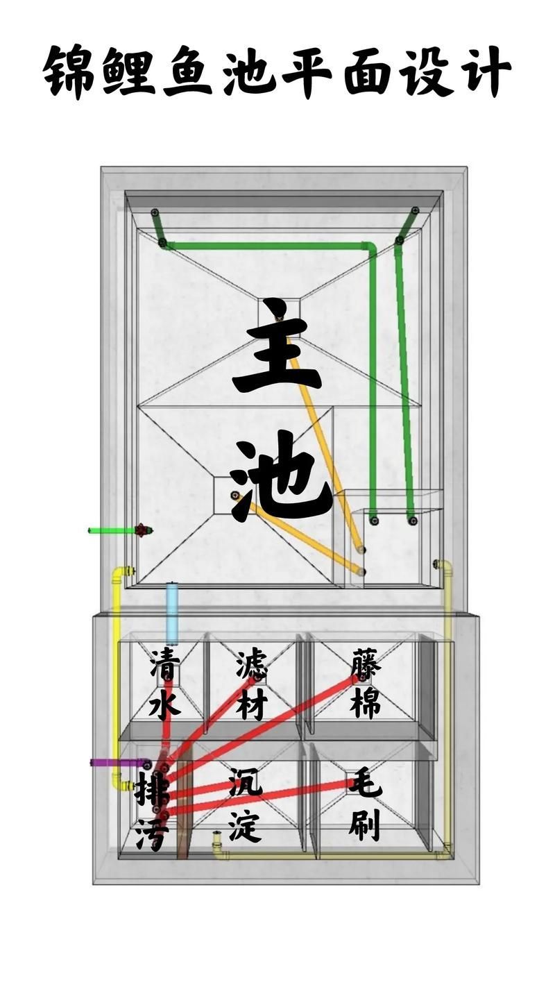 錦鯉寄生蟲感染如何預(yù)防，錦鯉寄生蟲感染如何預(yù)防用戶要求詳解1000字和配圖 錦鯉寄生蟲感染如何預(yù)防，錦鯉寄生蟲感染如何預(yù)防用戶要求詳解1000字和配圖 龍魚百科 第13張