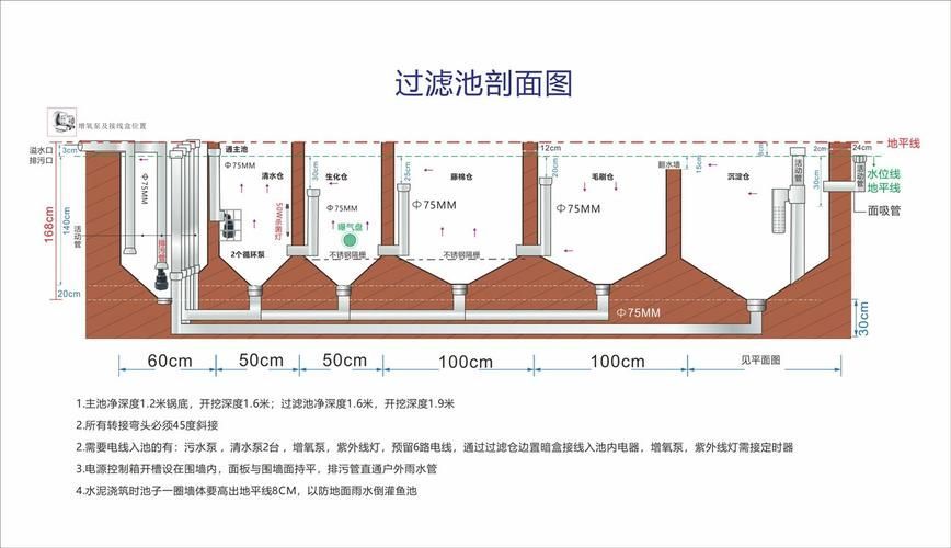 錦鯉寄生蟲感染如何預(yù)防，錦鯉寄生蟲感染如何預(yù)防用戶要求詳解1000字和配圖 錦鯉寄生蟲感染如何預(yù)防，錦鯉寄生蟲感染如何預(yù)防用戶要求詳解1000字和配圖 龍魚百科 第15張