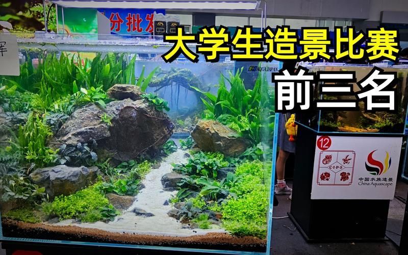 2圖片5張21水族展會有哪些亮點(diǎn)？，2023年水族展會有哪些亮點(diǎn)？ 2圖片5張21水族展會有哪些亮點(diǎn)？，2023年水族展會有哪些亮點(diǎn)？ 龍魚百科 第2張