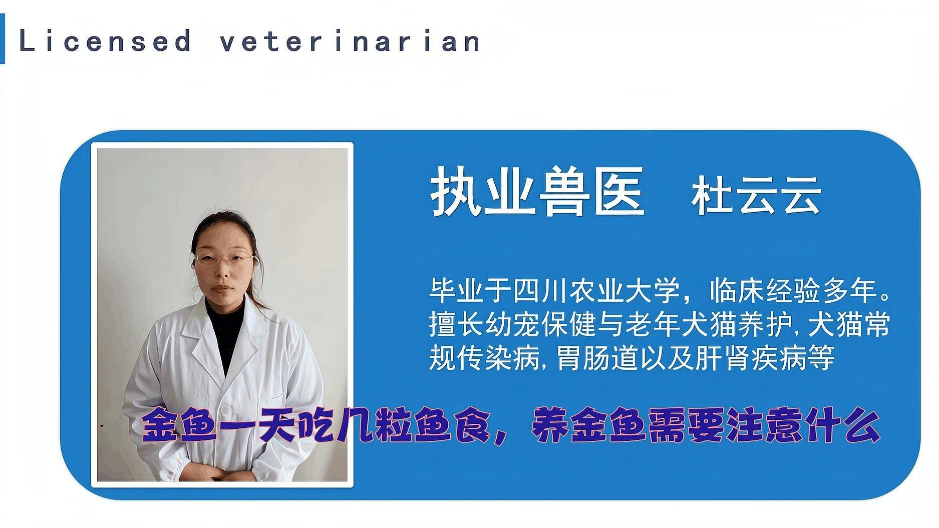 金魚多久喂一次合適？，金魚多久喂一次合適
