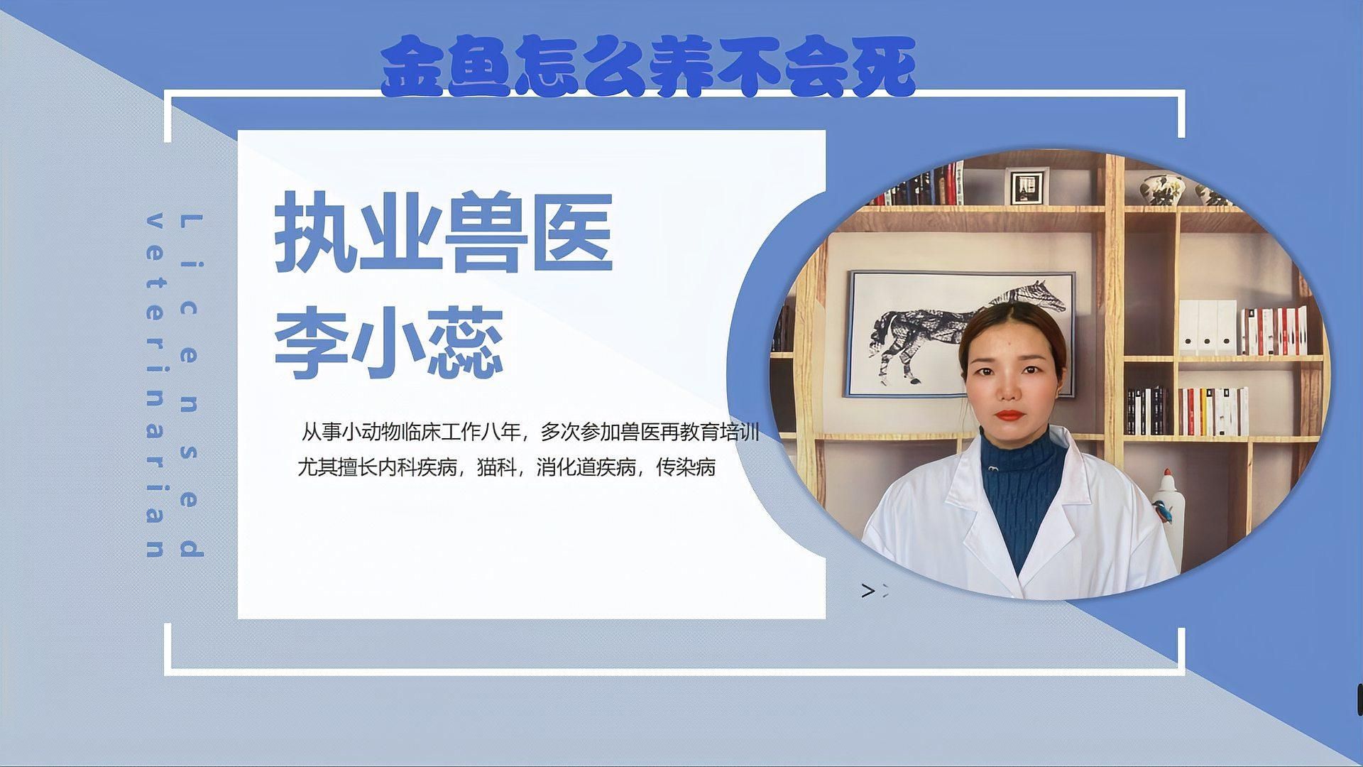 金魚多久喂一次合適？，金魚多久喂一次合適