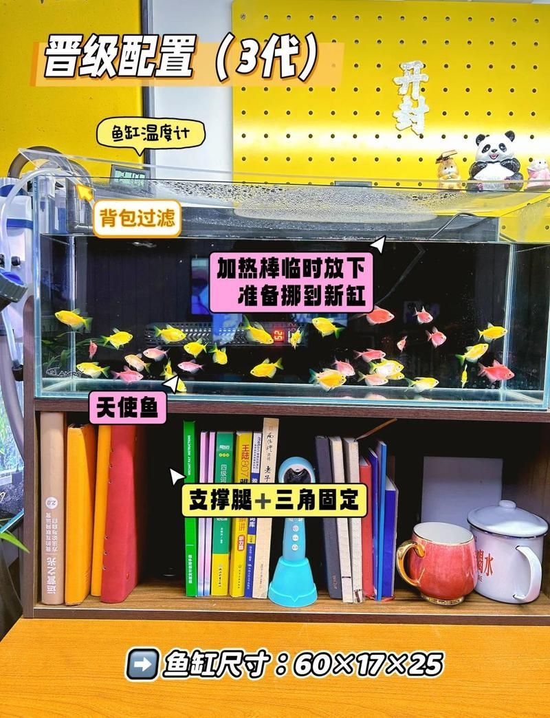 觀賞魚飼養成本大概是多少，養觀賞魚成本大概是多少