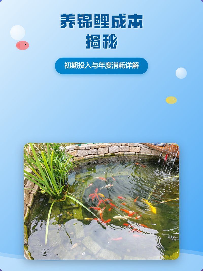 觀賞魚飼養成本大概是多少，養觀賞魚成本大概是多少