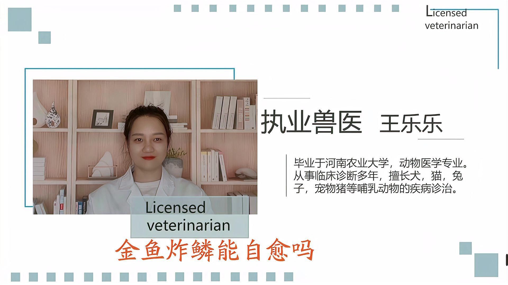 金魚炸鱗會自愈嗎，金魚炸鱗會自愈嗎，