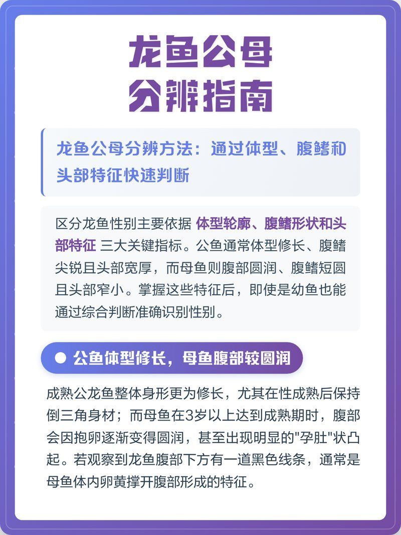有沒有其他方法分辨龍魚公母？，科學方法大揭秘漫影小孫，龍魚公母辨別秘籍