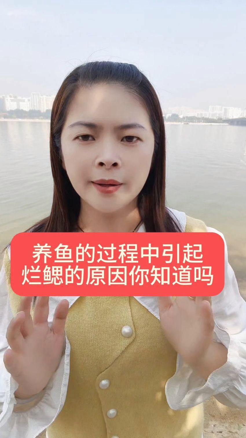 哪種藥物治療魚鰓爛最有效，]div{border-div{border-