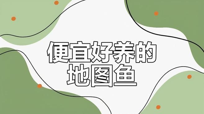 還有哪些地圖魚品種，地圖魚有哪些品種？ 還有哪些地圖魚品種，地圖魚有哪些品種？ 龍魚百科 第2張