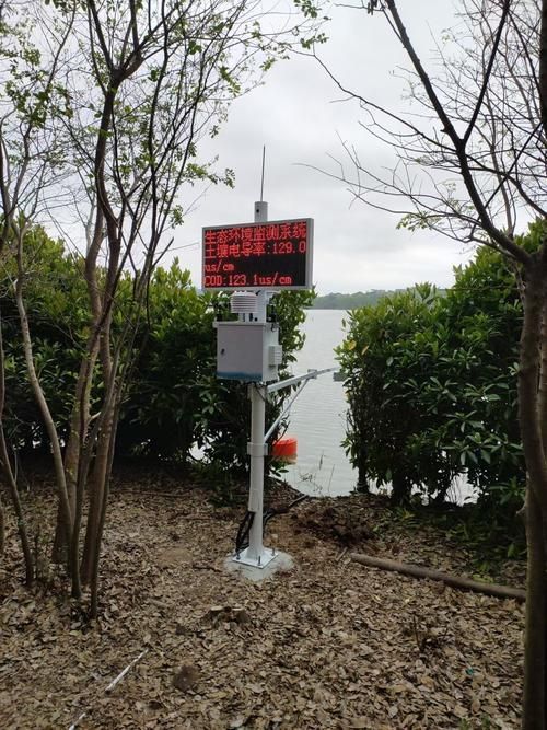 如何預防魚炸鱗的發生，如何預防魚炸鱗