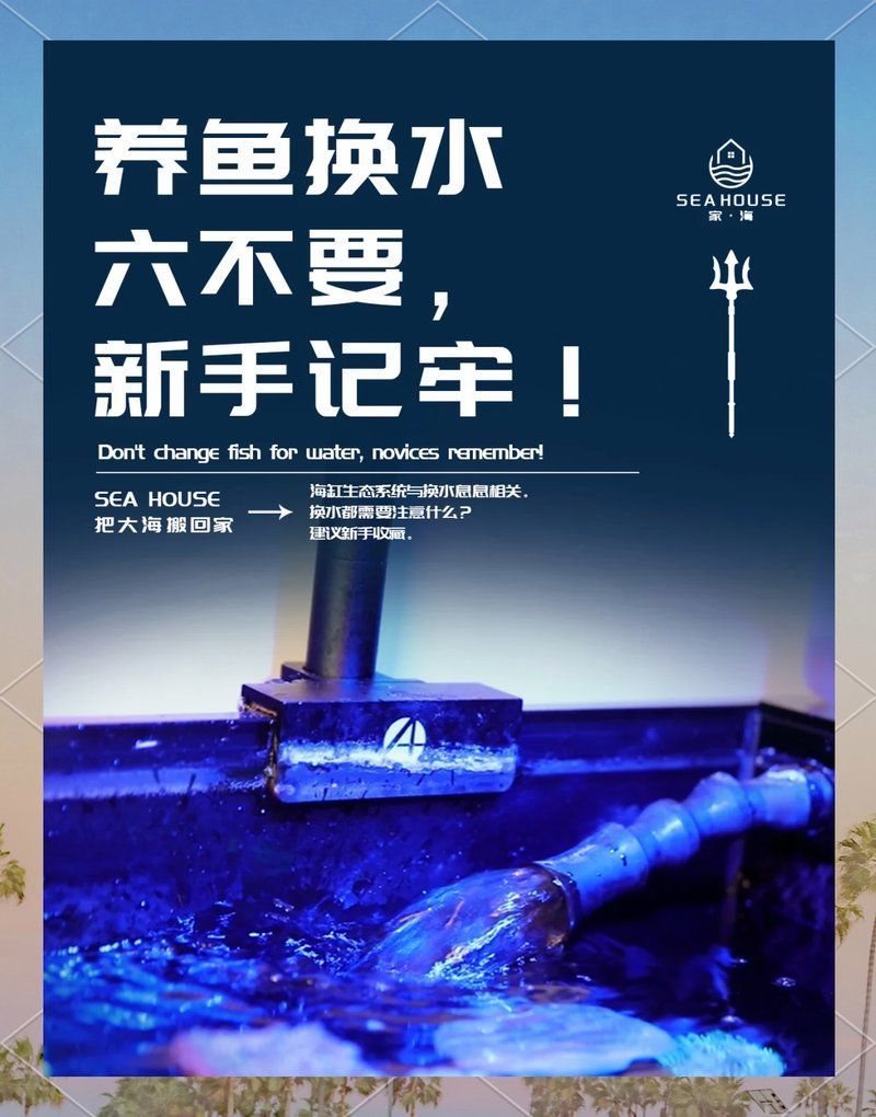龍魚缸多久換一次水合適？，龍魚缸多久更換一次水合適？