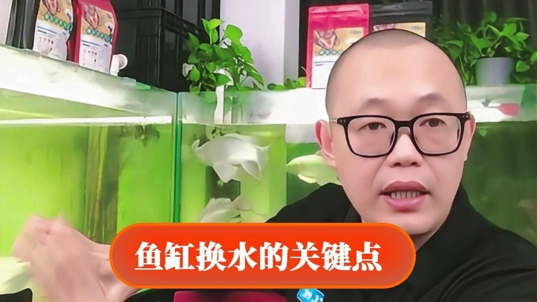 龍魚缸多久換一次水合適？，龍魚缸多久更換一次水合適？