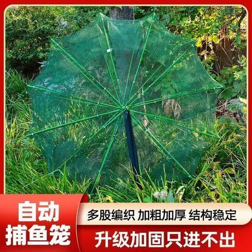 魚籠材質對釣魚有何影響 龍魚百科 第13張 魚籠材質對釣魚有何影響 魚籠材質對釣魚有何影響 龍魚百科 第13張