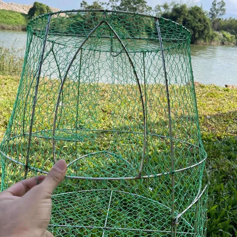 魚籠材質對釣魚有何影響 龍魚百科 第9張 魚籠材質對釣魚有何影響 魚籠材質對釣魚有何影響 龍魚百科 第9張