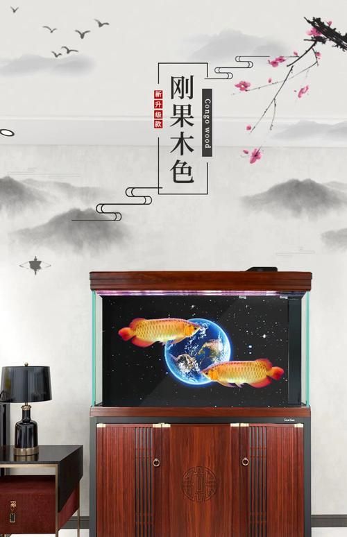 哪款龍魚缸性價比最高？，市場上性價比最高的龍魚缸，性價比最高的龍魚缸首選