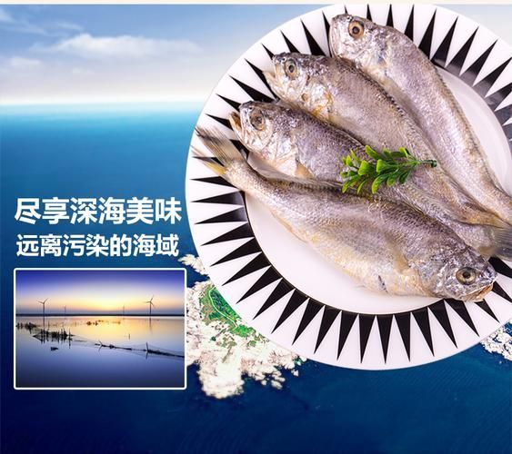 獐子島品牌魚有哪些產品，大連獐子島品牌魚有哪些品牌魚有哪些 獐子島品牌魚有哪些產品，大連獐子島品牌魚有哪些品牌魚有哪些 龍魚百科 第2張