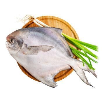 獐子島品牌魚有哪些產品，大連獐子島品牌魚有哪些品牌魚有哪些 獐子島品牌魚有哪些產品，大連獐子島品牌魚有哪些品牌魚有哪些 龍魚百科 第1張