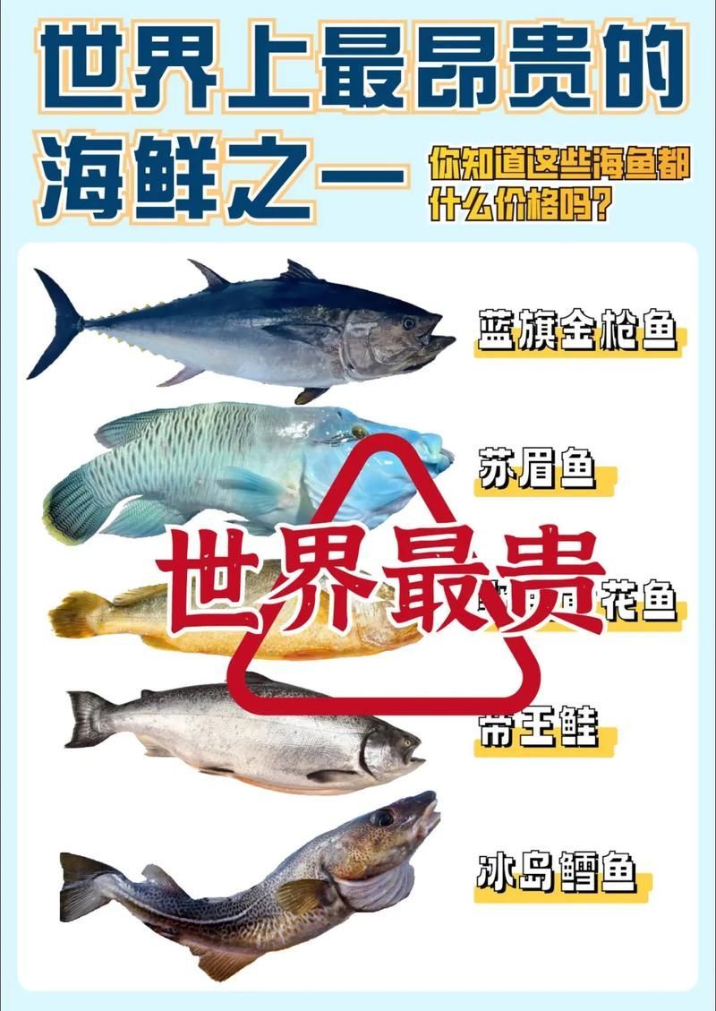 能否提供世界上最貴的魚排名圖片，世界上最貴的魚排名圖文清單，龍貓運動時需要注意什么