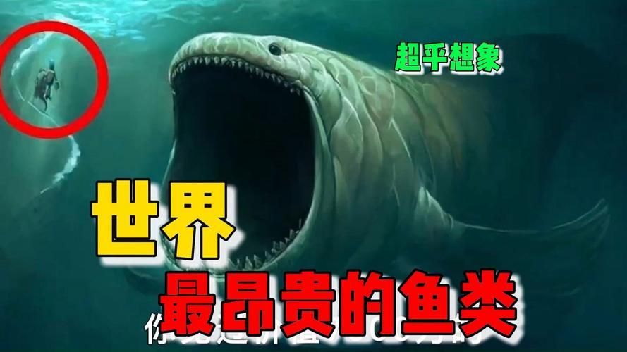 能否提供世界上最貴的魚排名圖片，世界上最貴的魚排名圖文清單，龍貓運動時需要注意什么