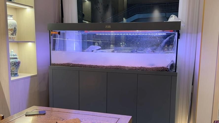 能推薦幾款適合龍魚的魚缸嗎？，適合龍魚的魚缸推薦 能推薦幾款適合龍魚的魚缸嗎？，適合龍魚的魚缸推薦 龍魚百科 第20張
