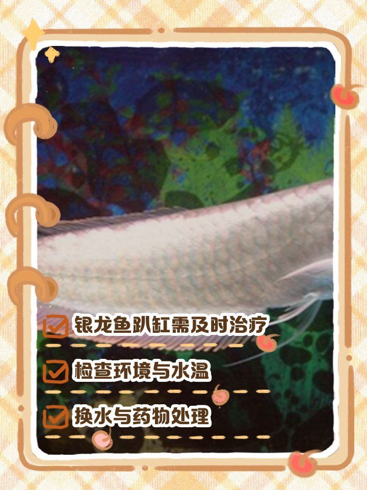 龍魚趴缸需要多久才能恢復(fù)，龍魚趴缸原因與解決方案 龍魚趴缸需要多久才能恢復(fù)，龍魚趴缸原因與解決方案 龍魚百科 第1張