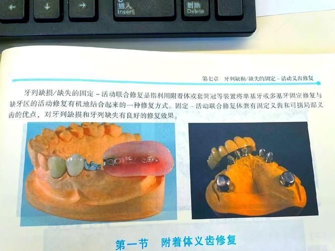 xlyc圖片5張2有哪些識別特征？，xlyc圖片5張2有哪些識別特征 xlyc圖片5張2有哪些識別特征？，xlyc圖片5張2有哪些識別特征 龍魚百科 第10張